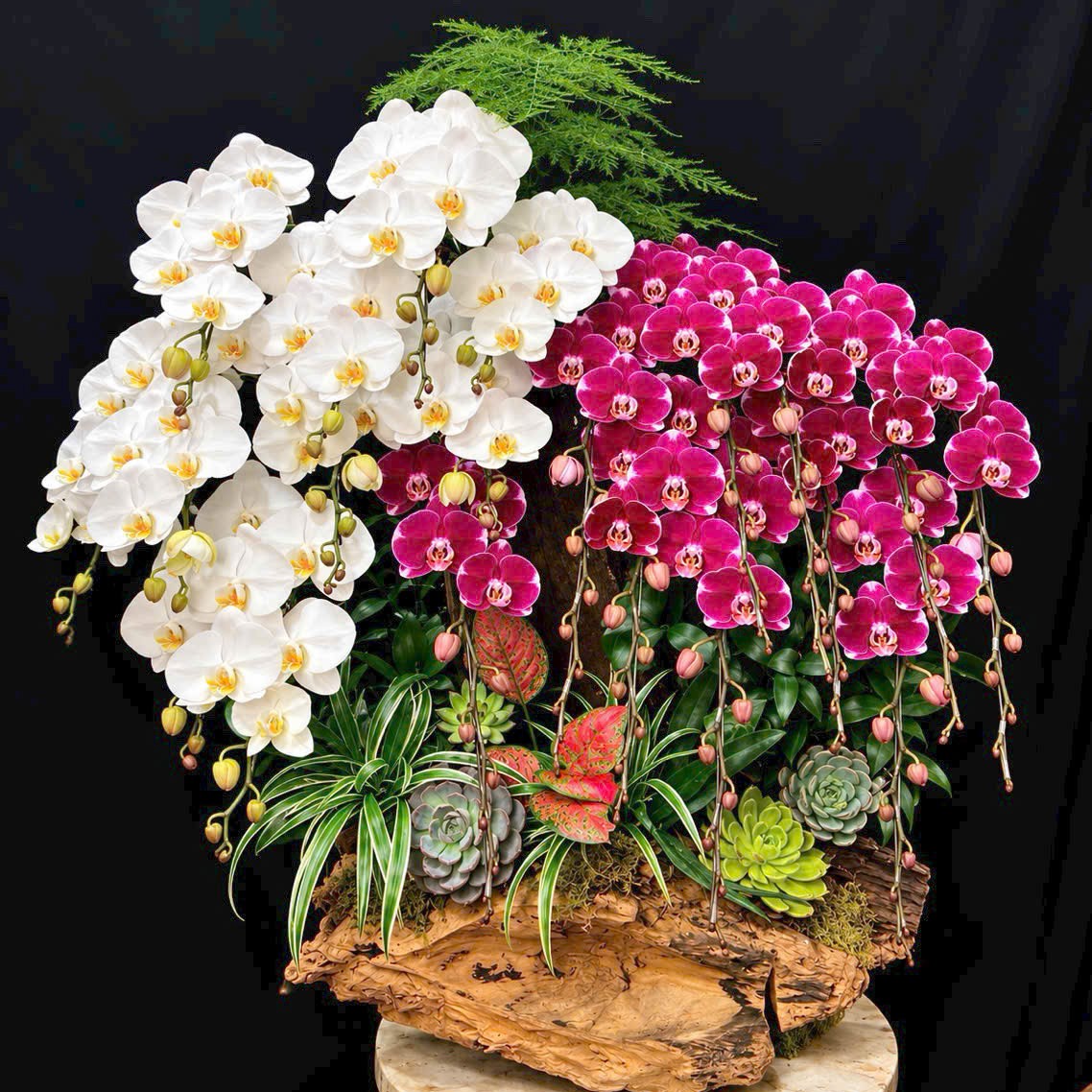 Ảnh thực tế