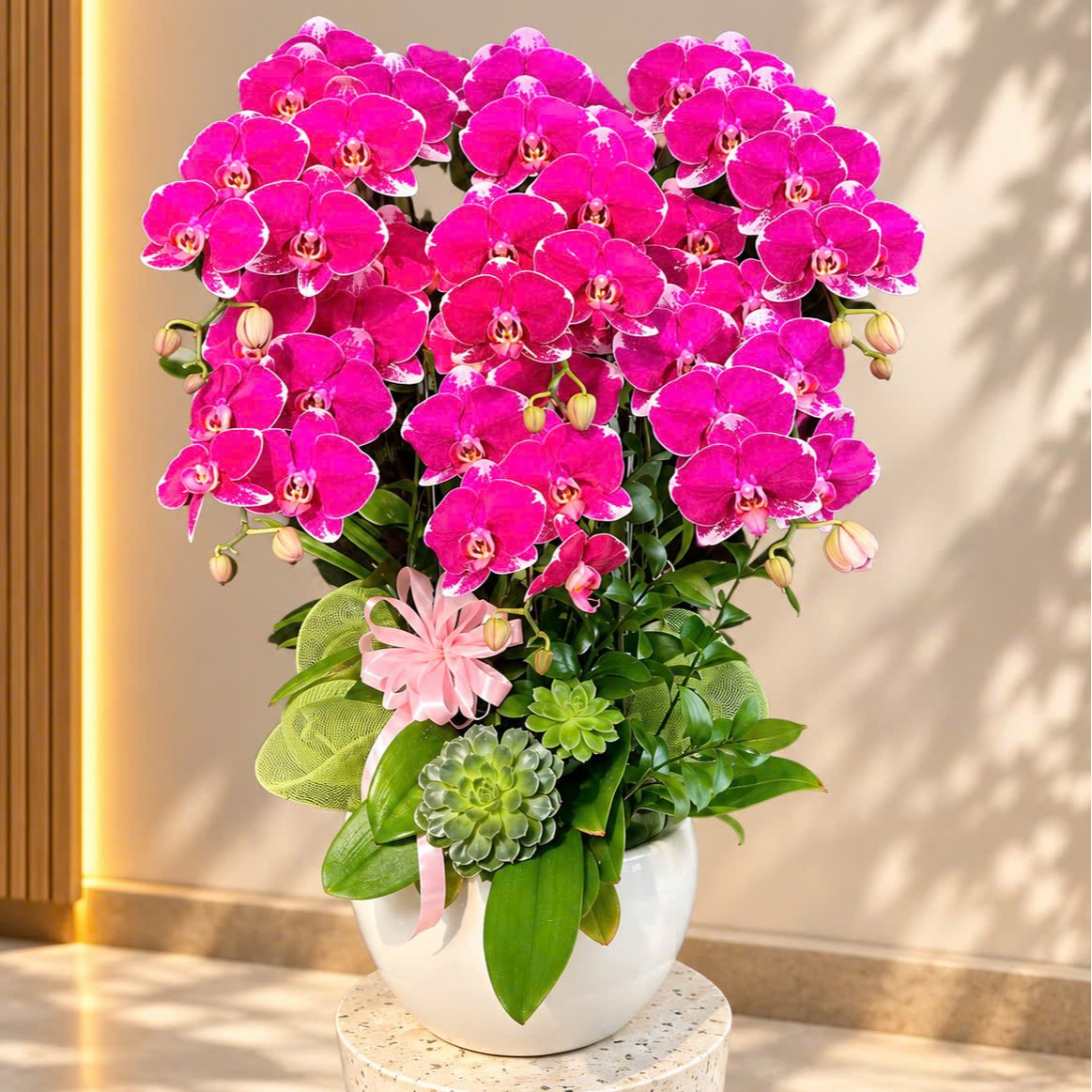 Chậu lan đỏ thiếu nữ sang trọng