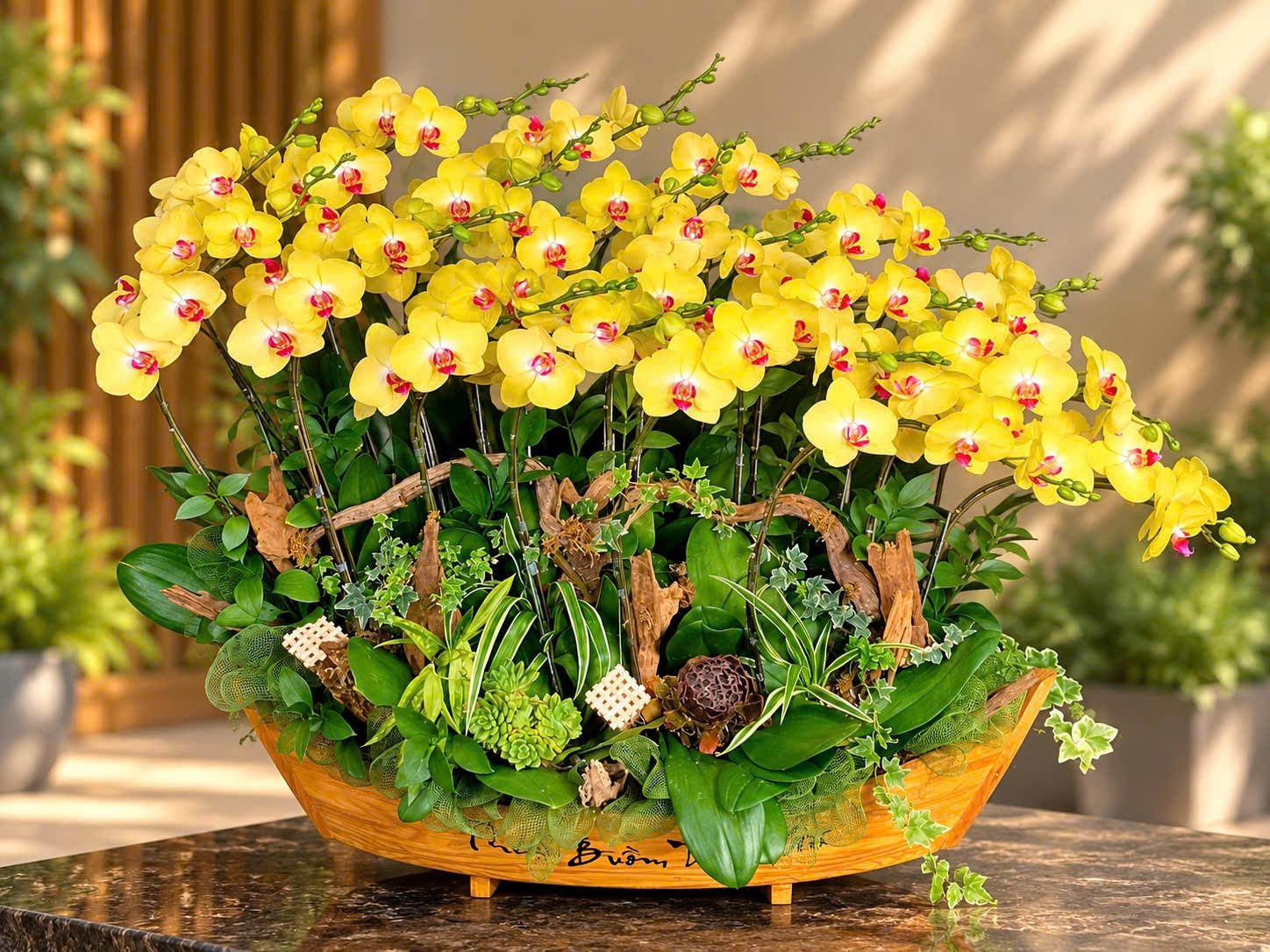 Thuyền hoa lan vàng khởi sắc