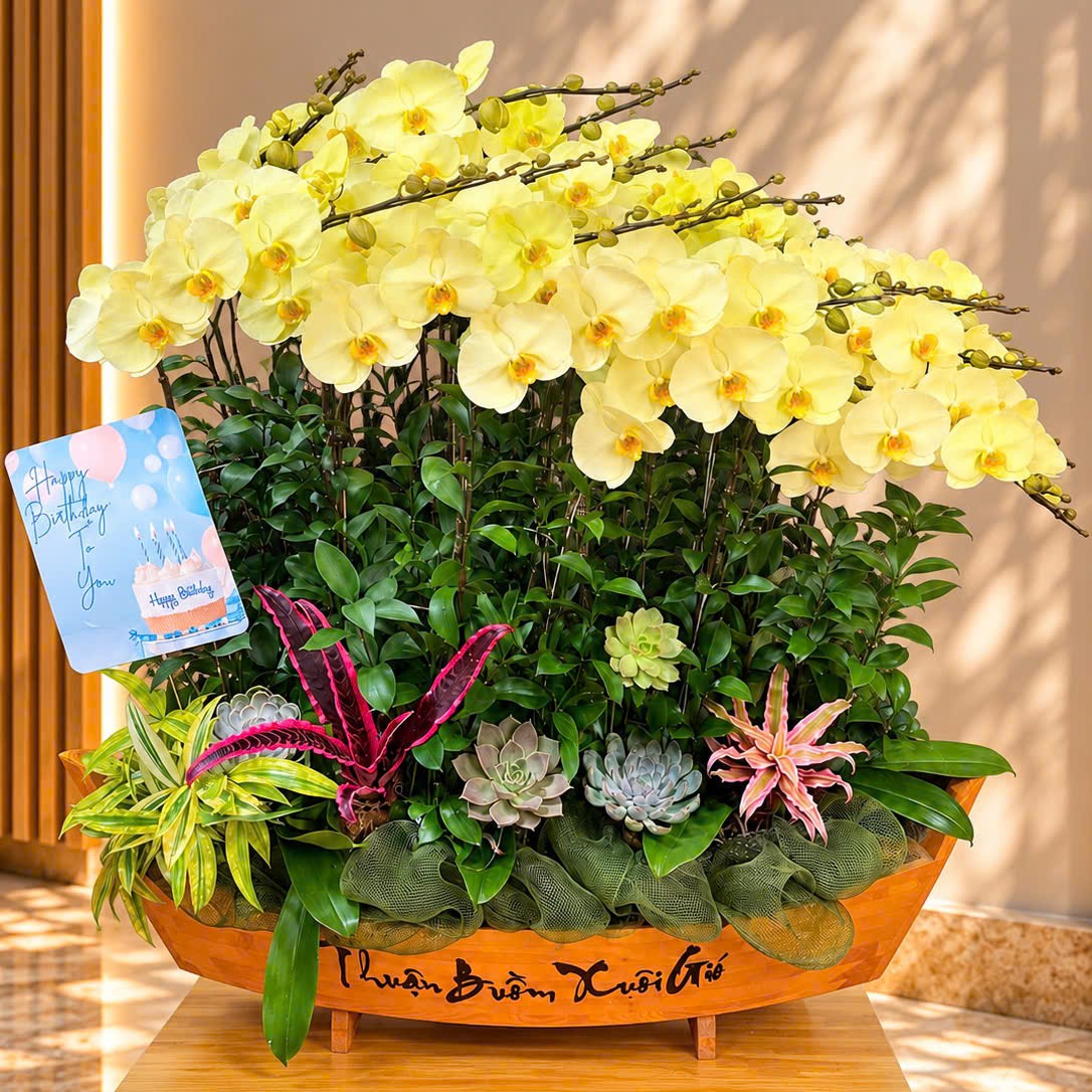 Thuyền hoa lan xanh bơ